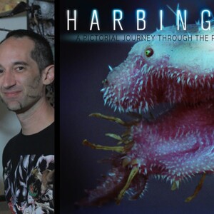 90 // Fandom Spotlight : A Harbinger Down: An Interview with StudioADI’s Christopher Moonlight