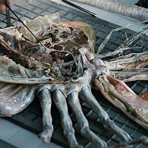 Episode 40: Dissecting ALIEN: Covenant
