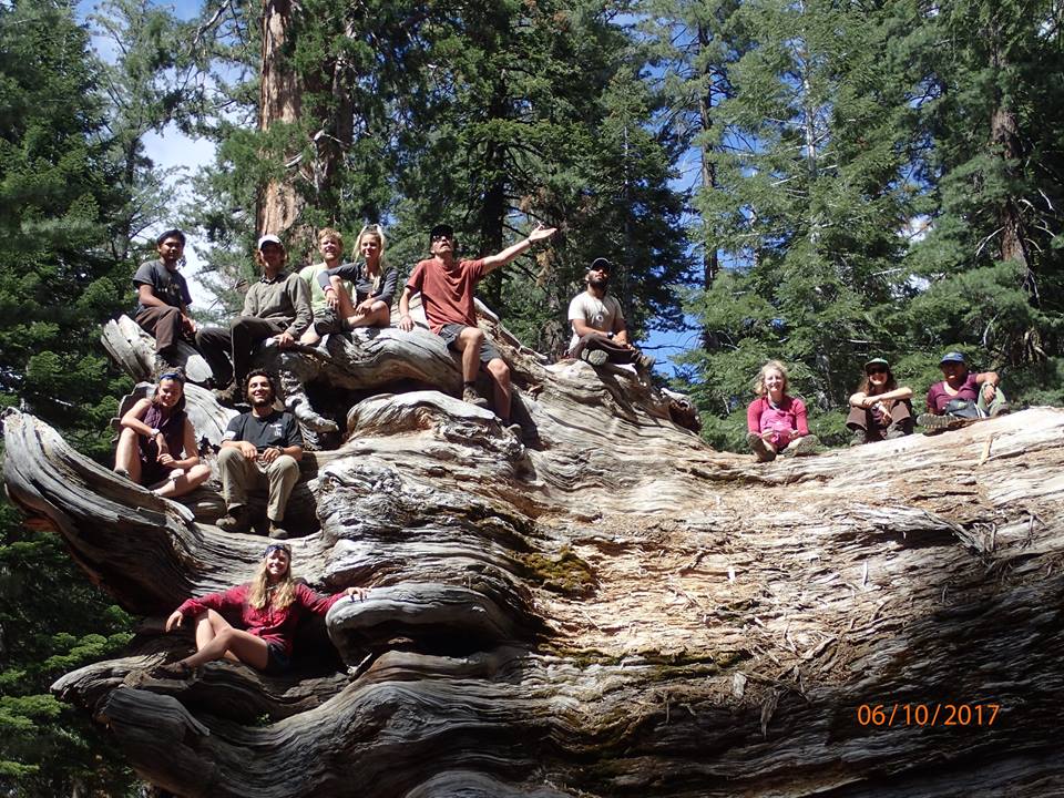 2017 Yosemite 1 and Yosemite 2 Interviews