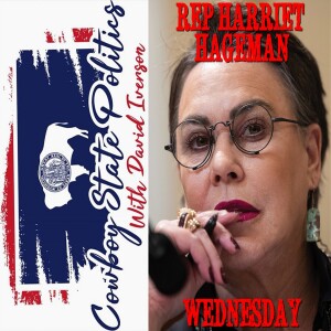 Teaser - Rep Hageman: What To Do With L.A.