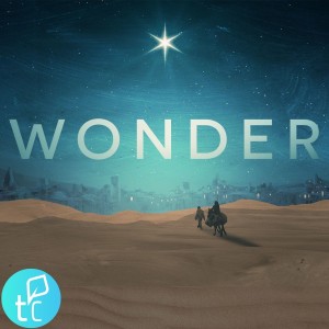 Wonder - Faith