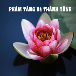 Thuyết Pháp - Phàm Tăng và Thánh Tăng