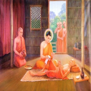 Thiện Ác Nghiệp Báo 63- Mạng Chung