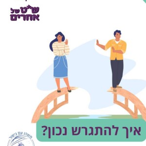 איך להתגרש נכון" - פרק 96 - פרק משותף עם הפודקאסט "שיט של אחרים"