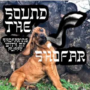 Shofar Intro and a Puppy who Shofars