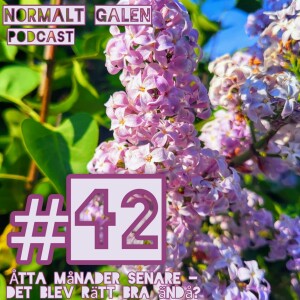 42. Åtta månader senare - det blev rätt bra ändå?