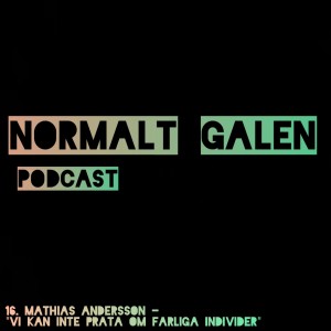 16. Mathias Andersson - "Vi kan inte prata om farliga individer"