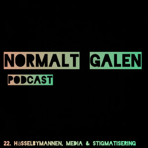 22. Hässelbymannen, media & stigmatisering