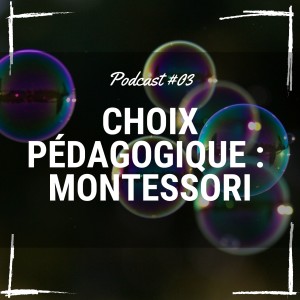 03 Montessori : un choix pédagogique