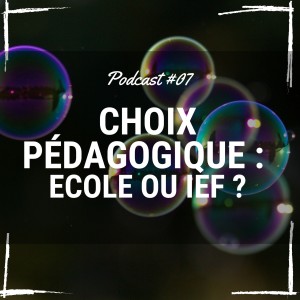 07 bis : Suppression IEF choix pédagogique