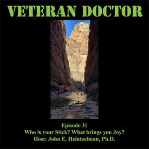 Veteran Doctor - Episode 31 - Who is your stick?