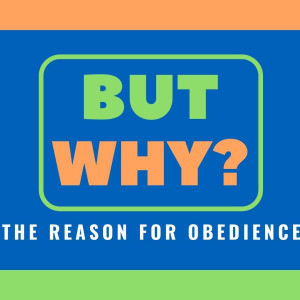 But Why? (The Reason for Obedience)