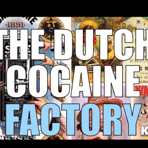 The Dutch Cocaine Factory! The Worlds Biggest Producers Of Cocaine! Supplying Both Sides In WW1