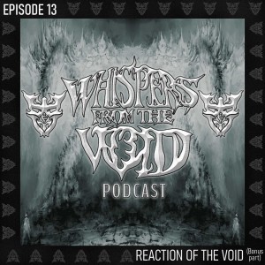 Episode 13: Reaction Of The Void (Bonus Part)