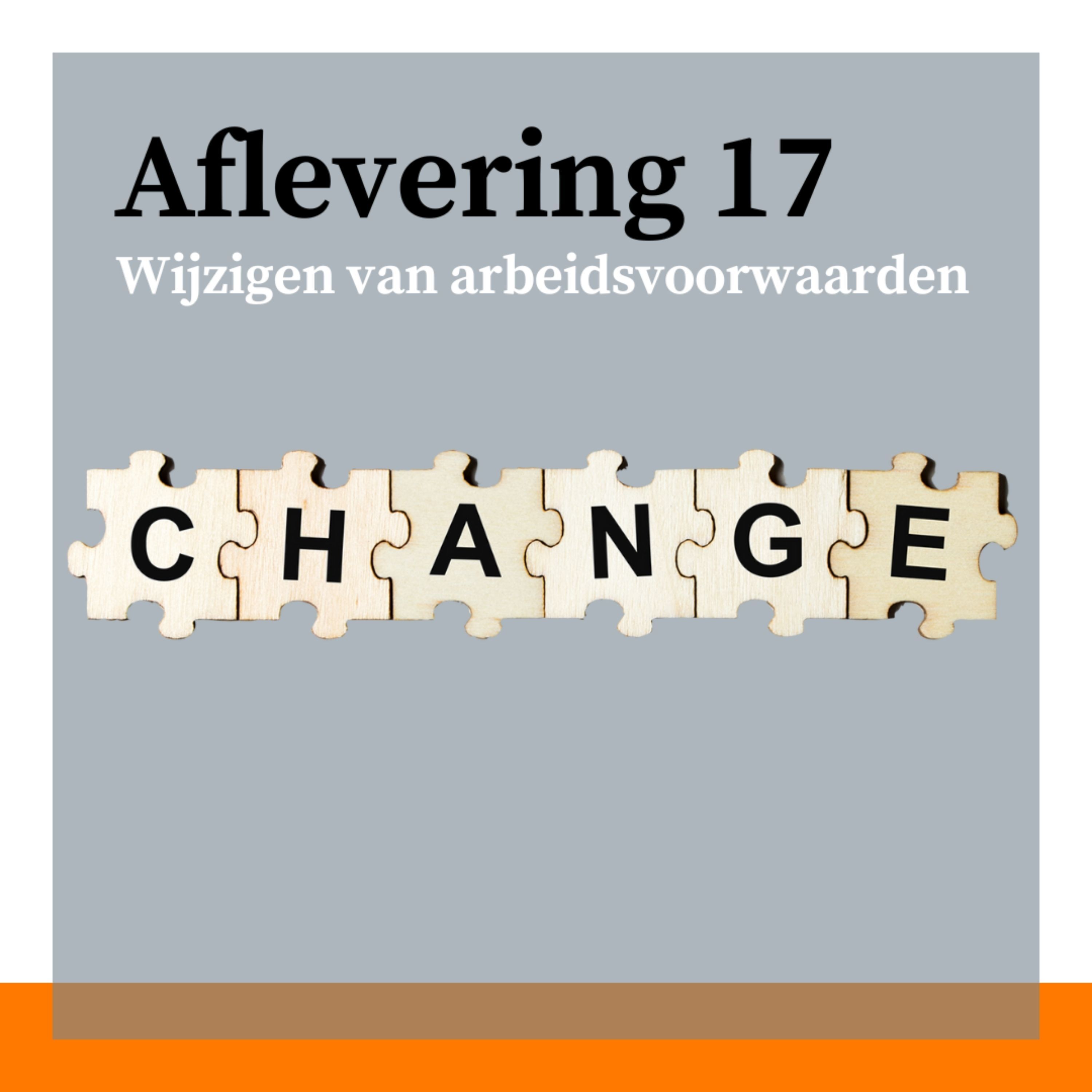 #17 - Wijzigen van arbeidsvoorwaarden: oorlog, het klimaatrapport en de lessen uit de coronacrisis met Barbara Baarsma en Sjef de Laat