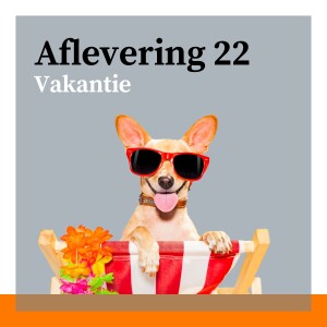 #22 - Vakantie: aantal dagen, verval, afkopen en ziekte met Tim Klein Robbenhaar en Jan-Pieter Vos