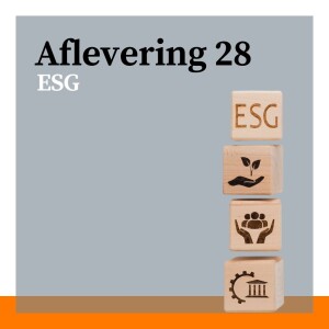 #28 - ESG: de ‘S’ van Social en kansen voor werkgevers met Jan Bouwens en Paul van der Heijden