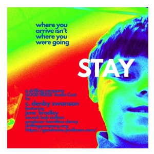 STAY by C. Denby Swanson