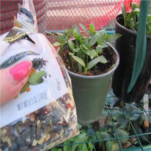 food poisioned by chemtrail=how to fix food garden