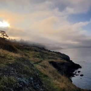 Amy Nesler - Visit the San Juan Islands in Washington