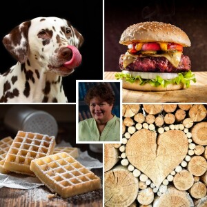 Big Weekly Blend - Dogs & Authors, Wood & Waffle Burgers!