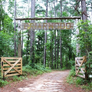 Briarwood Nature Preserve in Louisiana