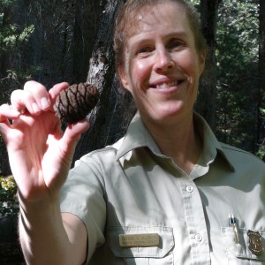 Visiting Sequoia National Forest - Denise Alonzo on Big Blend Radio