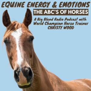 Christy Wood - Equine Energy and Emotions