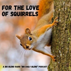 Big Daily Blend - For the Love of Squirrels