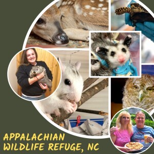 Appalachian Wildlife Refuge in North Carolina