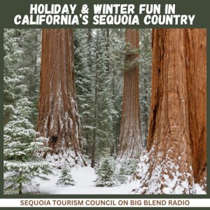 Holiday and Winter Fun in California’s Sequoia Country