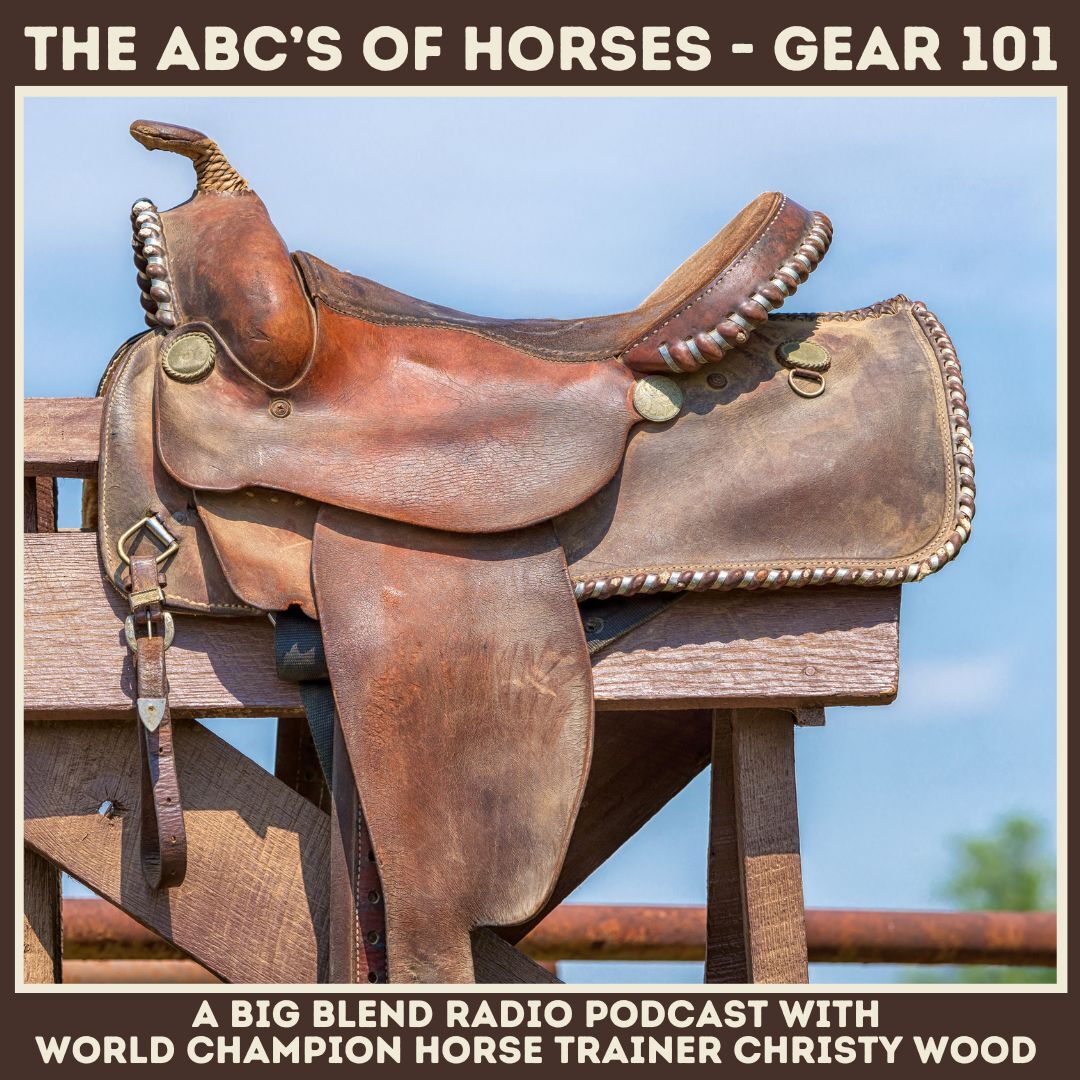 Christy Wood - Horse Gear 101