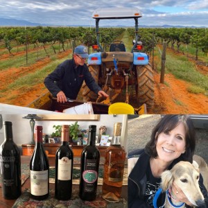 Discover Arizona Wines - Cori Solomon on Big Blend Radio