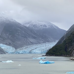 Travel Advisor Cheryl Ogle - Cruising Alaska in 2024