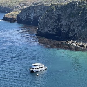 Debbie Stone - Channel Islands National Park Adventure