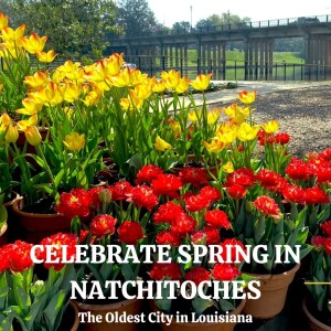Arlene Gould - Celebrate Spring in Natchitoches, Louisiana