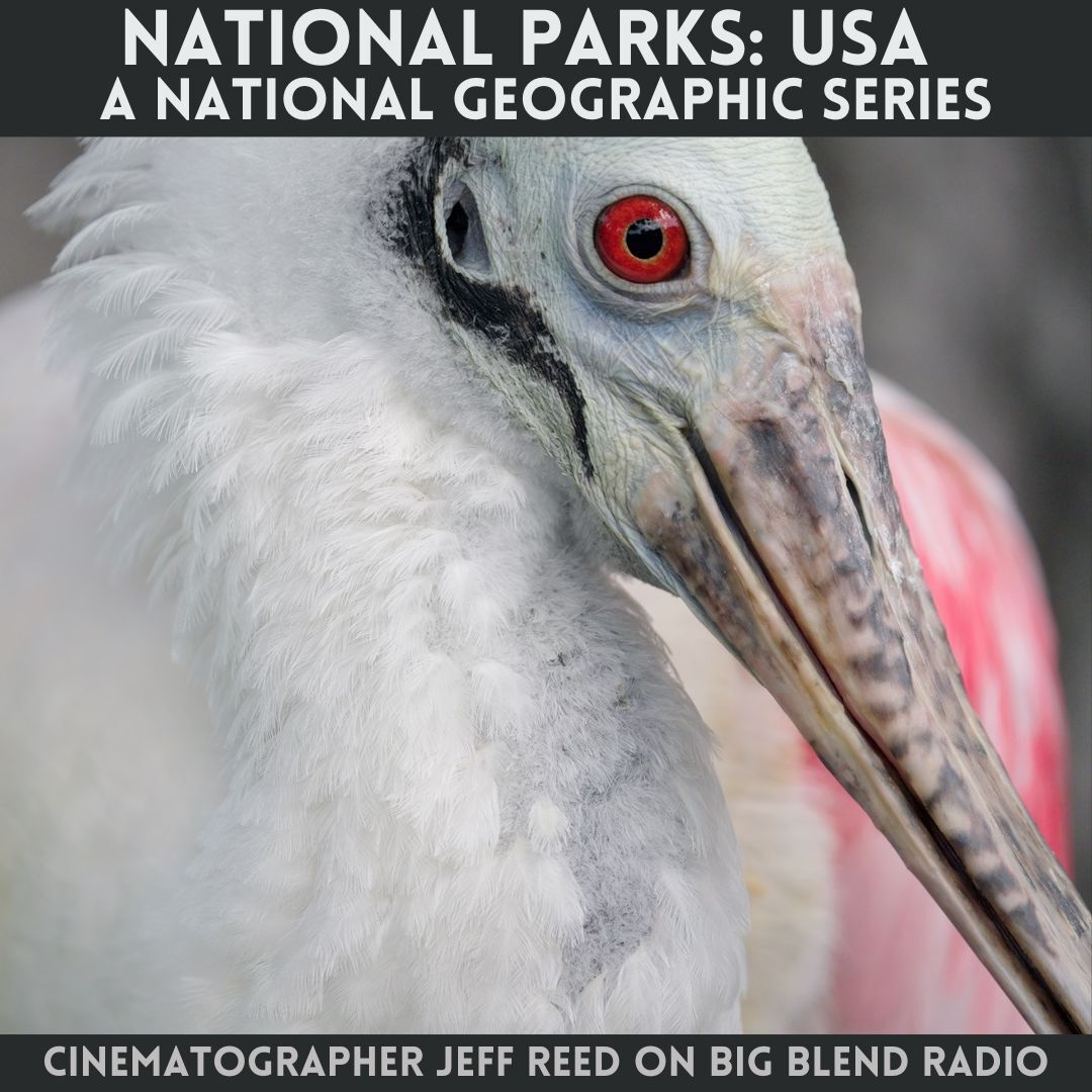 Cinematographer Jeff Reed - Nature and Wildlife in National Parks