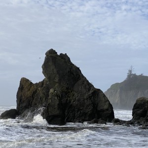 Linda Milks - Exploring Seattle and the Olympic Peninsula