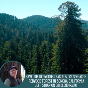 Safeguarding the Clar Tree and Russian River Redwoods
