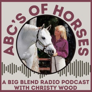 ABC's of Horses Podcast with Christy Wood