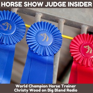 How to Become a Horse Show Judge