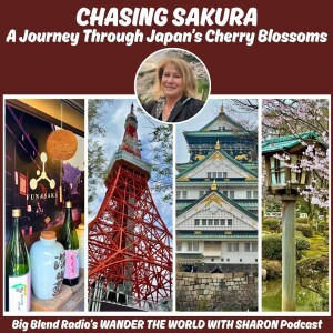 Chasing Sakura in Japan – A Cherry Blossom Journey