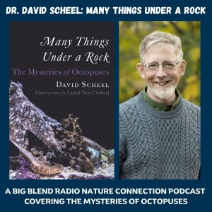 Dr. David Scheel - The Mystery of Octopuses