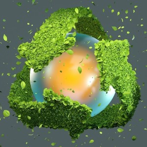 Celebrating Mother Nature - Music, Sustainability, and Eco-Tourism