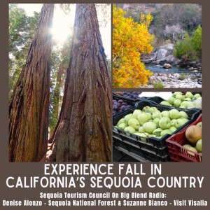 Experience Fall in California’s Sequoia Country