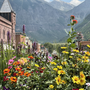 Debbie Stone - Kind Travel in Telluride, Colorado