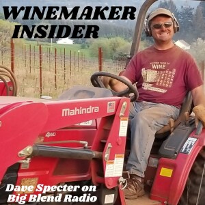 Winemaker Insider - Dave Specter of Bells Up Winery in Oregon