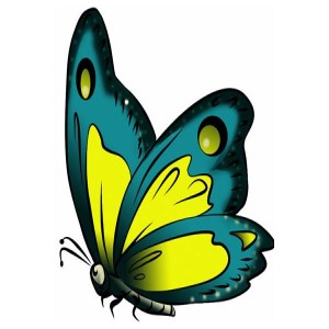 Higher Design for Living: Are You Attracting What You Want!?