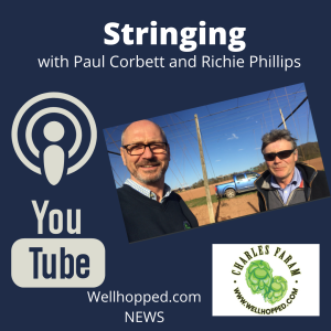Episode 06: Paul and Richie Phillips chat about the stringing process