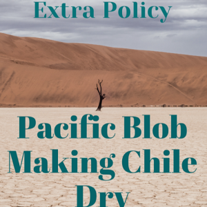EP 24: EXTRA POLICY- Pacific Blob Making Chile Dry
